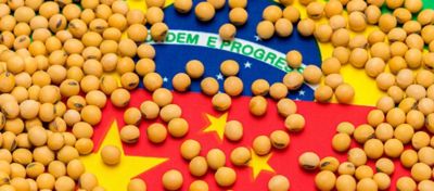 China pede mudanças nos padrões de classificação de grãos de soja