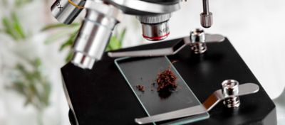 análise de amostras de solo ao microscópio