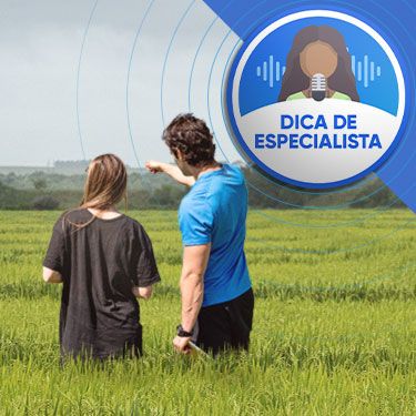 Imagem de um homem e uma mulher em um campo de arroz