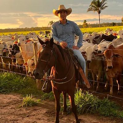 Descubra como Paulo Renato Gritti otimizou a produtividade em suas fazendas ao adotar técnicas avançadas de manejo do pasto e adubação estratégica.