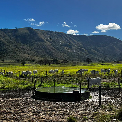 José Afonso Flores de Melo Júnior revela como o manejo de pastagem, com o apoio da Corteva Agriscience, transformou a produtividade de suas fazendas na Bahia.