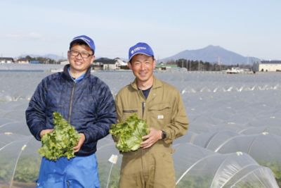 べと病のまん延を防ぐ。レタス・キャベツの安定供給を支える「ゾーベック™ エンカンティア™」