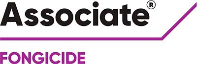 Brand_Logo
