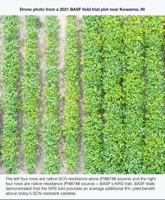 IMG-BASF_FieldTrial_Kewanna