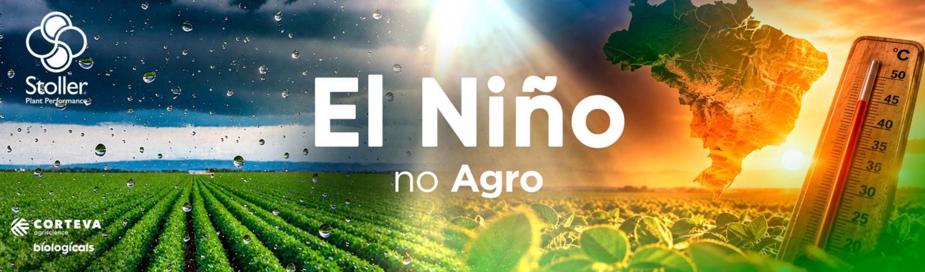 el niño