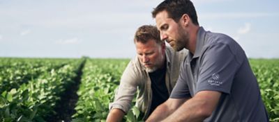 Plantation in the background with two white men in front deliberating something