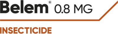 Brand_Logo