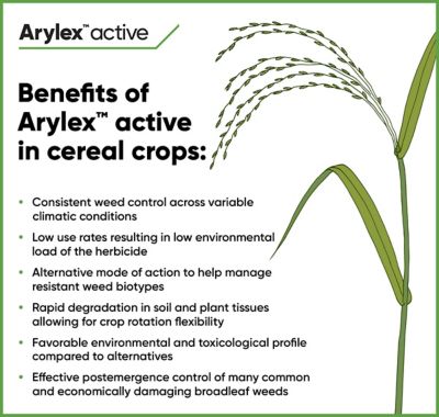 List of benefits of Arylex active