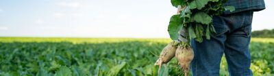 Solutions pour betteraves