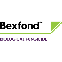 Bexfond Logo