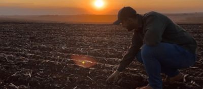 Cálculo de adubo para soja: entenda como fazer