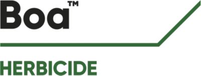 Brand_Logo
