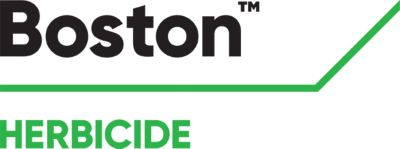 Brand_Logo