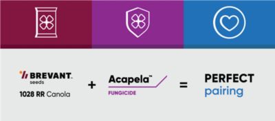 brevant and acapela equal the perfect pair