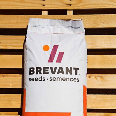 Brevant bag f seed