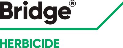 Brand_Logo