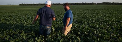 Brownfield advisor and farmer in soybean field