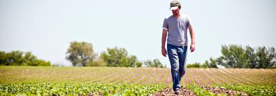 Brownfield farmer walking in field