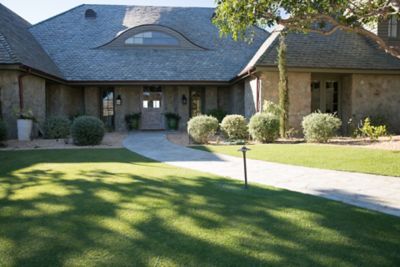 CA residential Seashore Paspalum