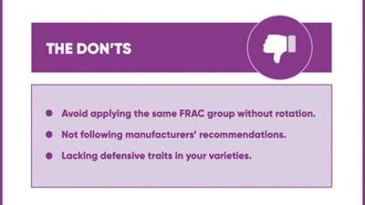 What not to do for fungicide resistance?