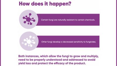 How does fungicide resistance happen?