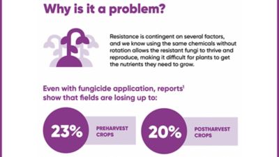 Why is fungicide resistance a problem?