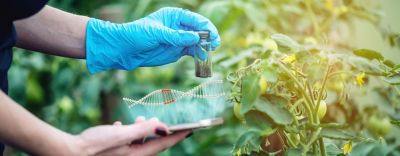 CRISPR, una oprtunidad de oro encontrada en la sal