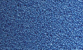 Blue canola seed