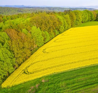 Green and yellow farm fields