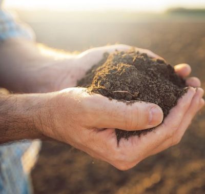 Man holding a handful of soil