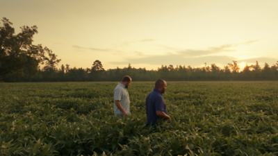 Two men in crop field at sunrise