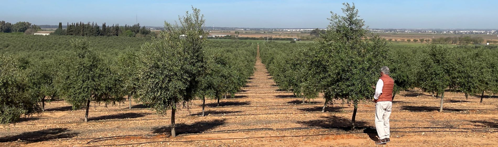 Casos reales: agentes del cambio en la gestión del agua agrícola