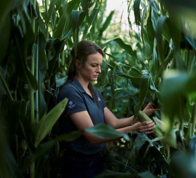 Nos champs d’action : durabilité