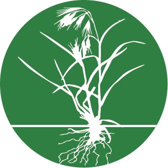 cheatgrass icon