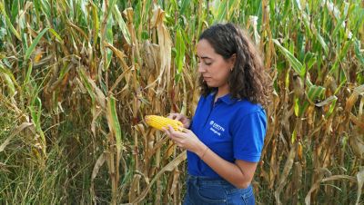 BlueN sustainability