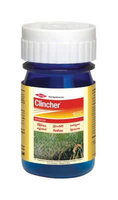 Clincher