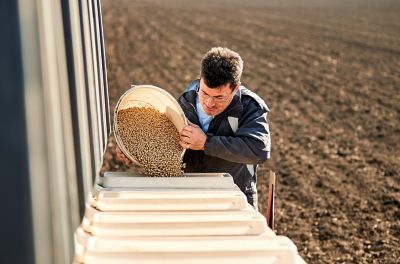 Male farmer pouring soybean seeds in machine