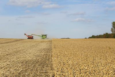 A combine harvests a mature golden soybean field while unloading grain into a cart, leaving harvested crop residue behind beneath a blue, partly cloudy sky.