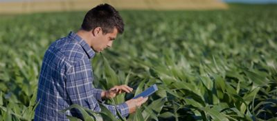 Cómo utilizar la tecnología para ahorrar agua