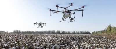 Drones y cultivo de algodón