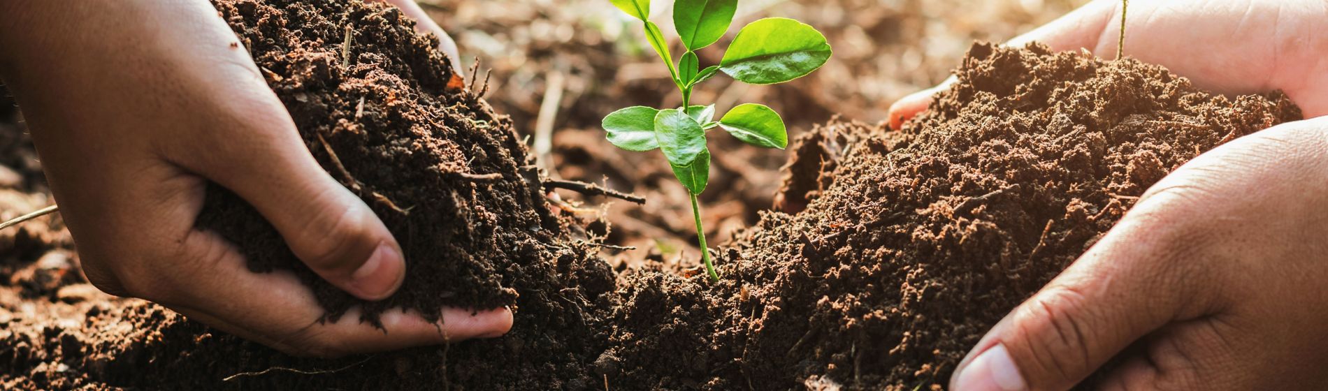 Conservación del suelo agrícola