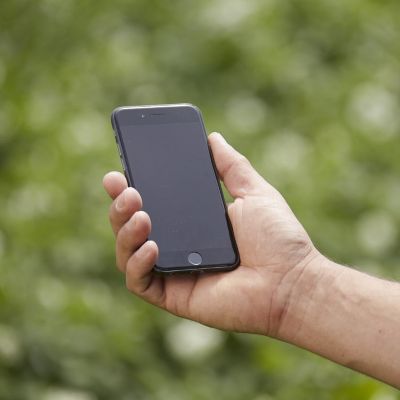 phone in hand in field