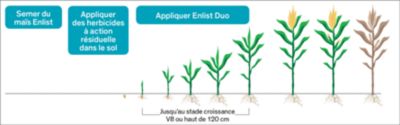 L’application de l’herbicide Enlist Duo