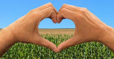 Vous allez adorer Brevant