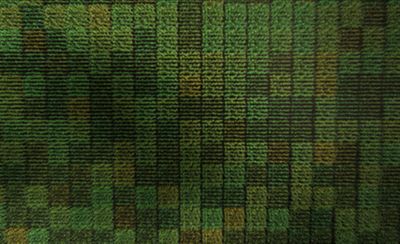 Corn Revolution - corn field - aerial view