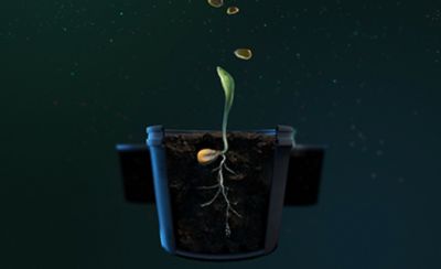 Corn Revolution - seed in container