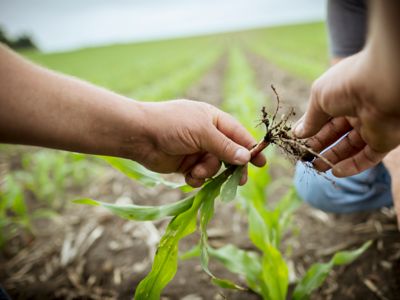 Découverte de nouvelles matières actives
