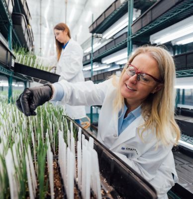 Two Employee Scientists wearing white lab coats in greenhouse lab