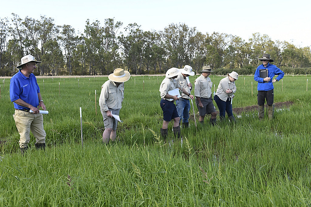 Greg Wells (far right) inspecting trials of Agixa herbicide with staff from Corteva Agriscience last season.