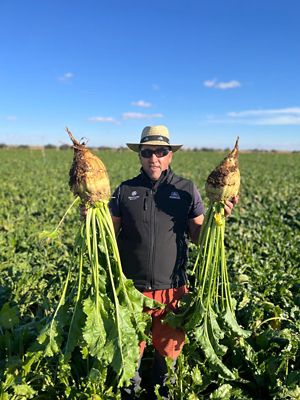Raúl, agricultor de León, con remolachas cultivadas
